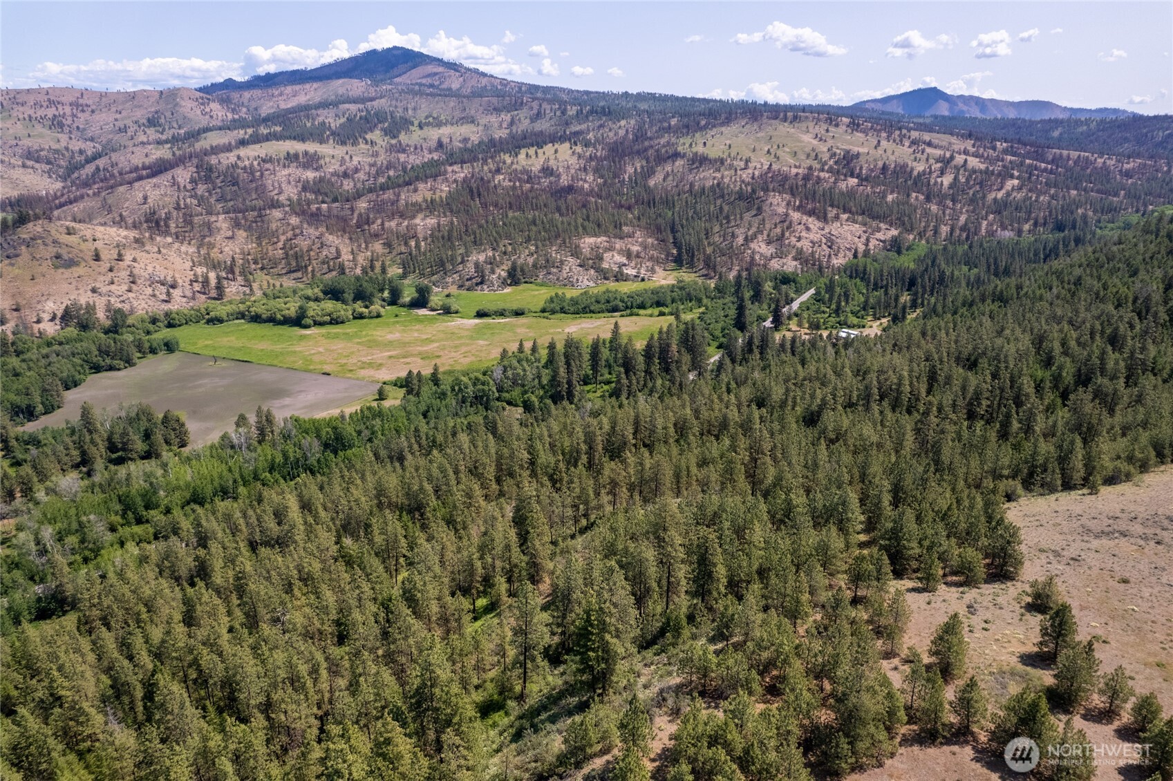 0 Peter Dan Creek Rd , Coulee Dam, WA 99116