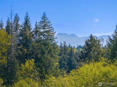 508 Heron Walk SE, Sammamish, WA 98074 - Photo 22