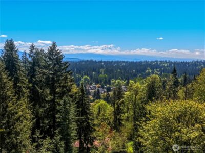 21437 SE 232nd Street , Maple Valley, WA 98038 - Photo 40