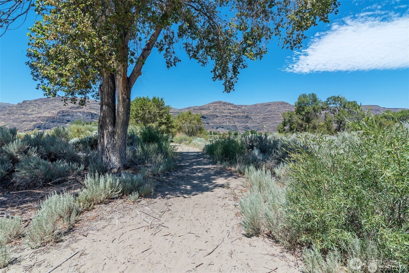 312 SW River Drive , Quincy, WA 98848