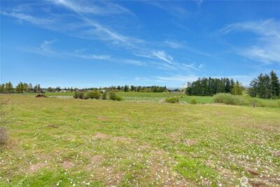30721 Webster Road E, Eatonville, WA 98328 - Photo 37