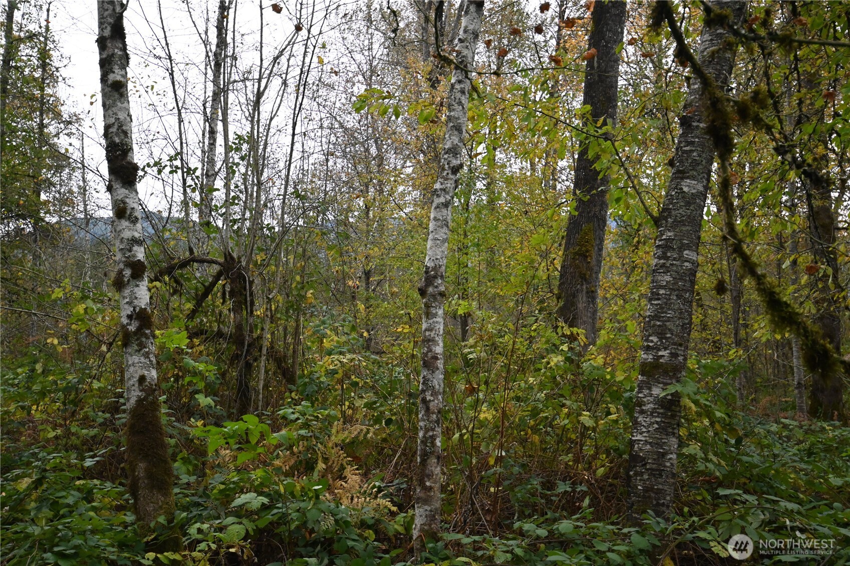 0 Ley Road , Gold Bar, WA 98251