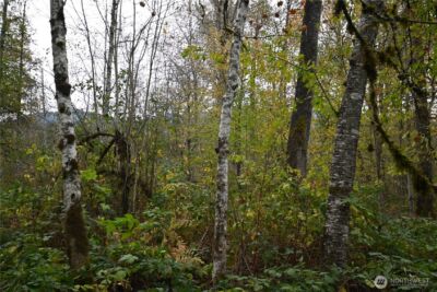 0 Ley Road , Gold Bar, WA 98251 - Photo 14