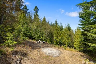 131 Basin Creek Way , Cle Elum, WA 98922 - Photo 3