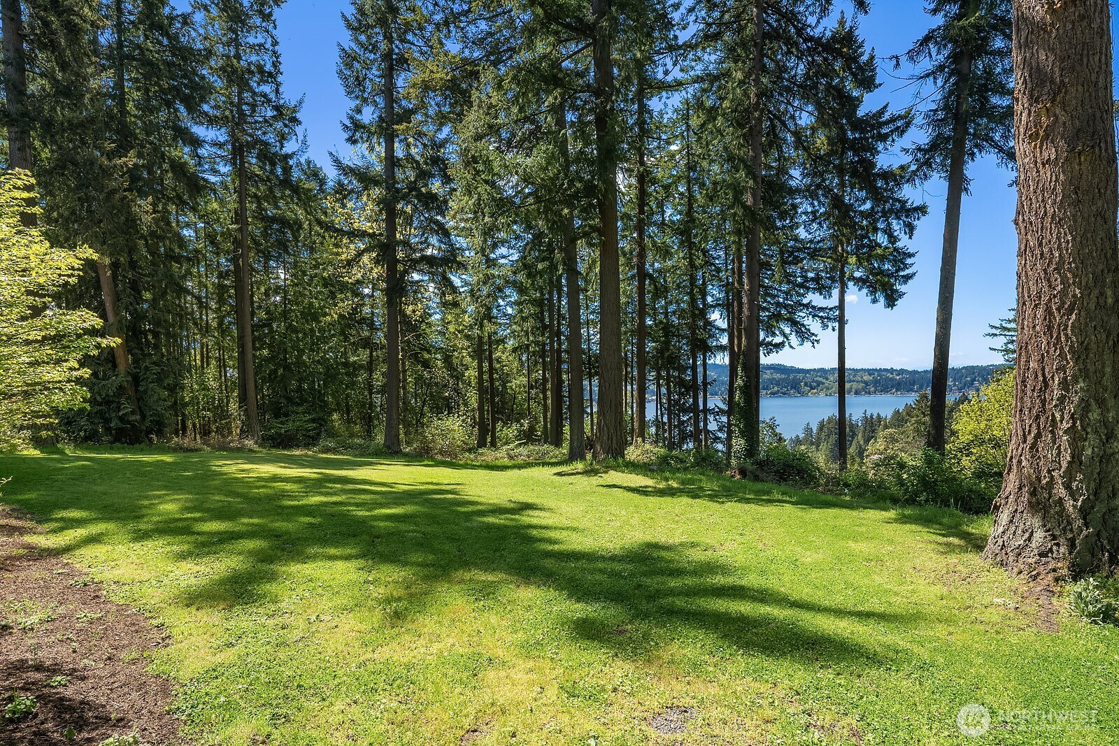 20113 SE 30th Street , Sammamish, WA 98075