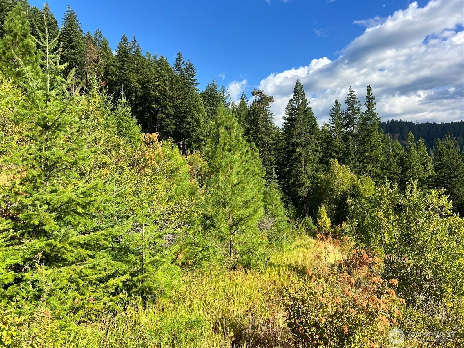 0 Juneberry Lane , Leavenworth, WA 98826