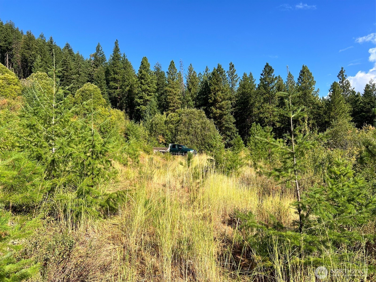0 Juneberry Lane , Leavenworth, WA 98826