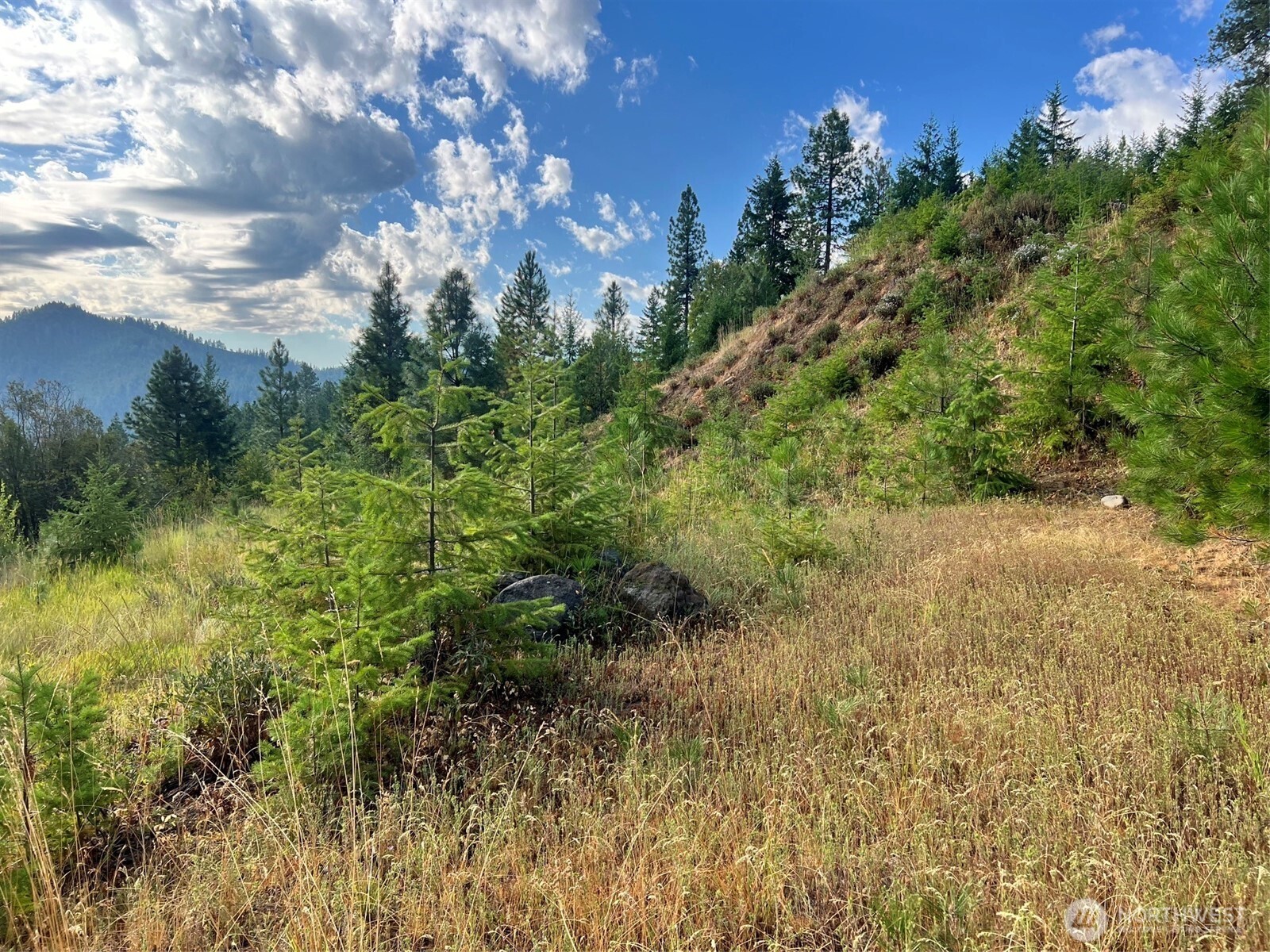 0 Juneberry Lane , Leavenworth, WA 98826