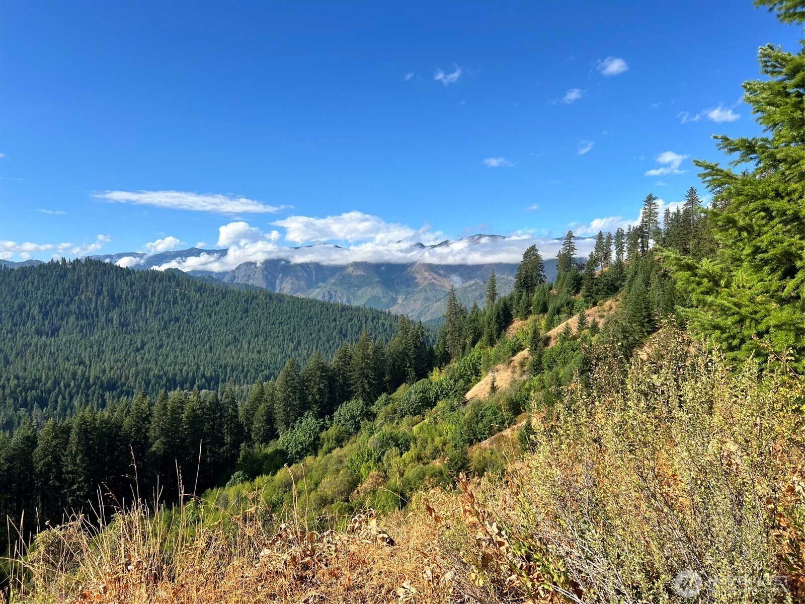 0 Juneberry Lane , Leavenworth, WA 98826