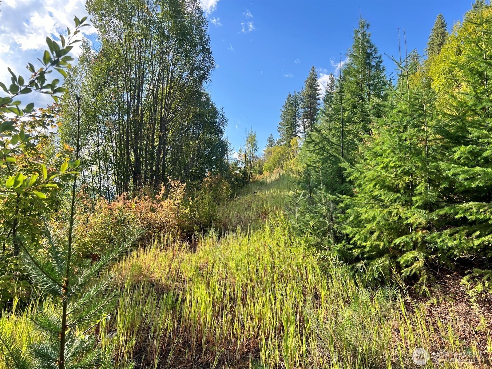 0 Juneberry Lane , Leavenworth, WA 98826