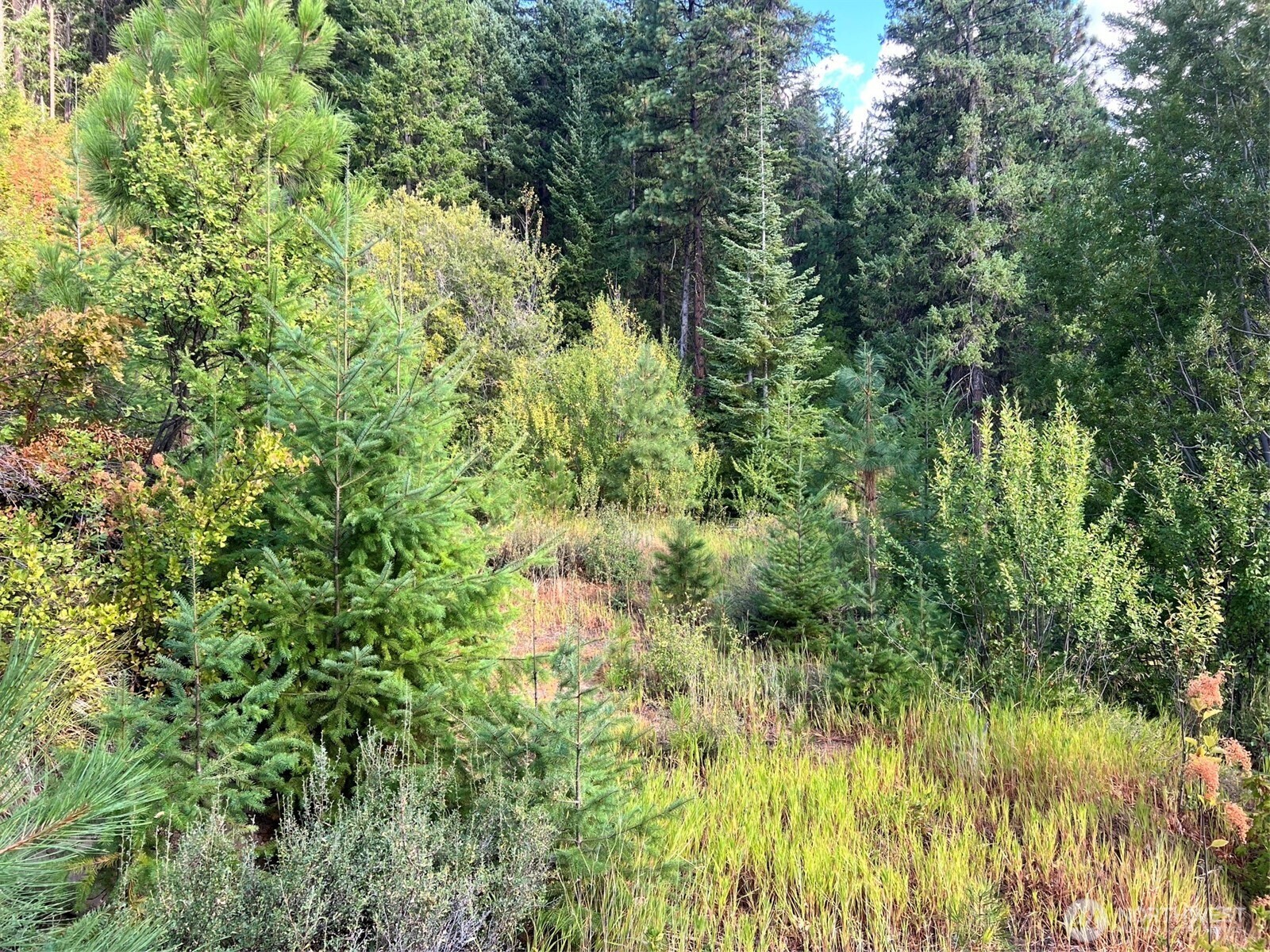 0 Juneberry Lane , Leavenworth, WA 98826