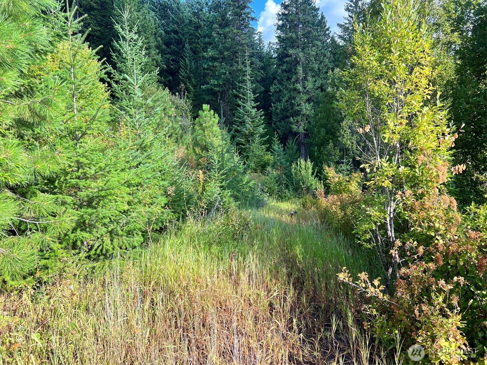 0 Juneberry Lane , Leavenworth, WA 98826