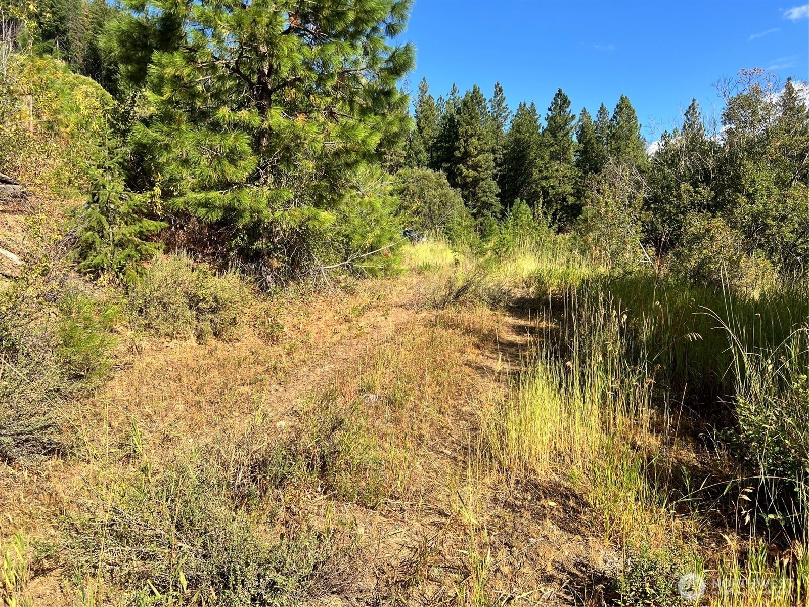 0 Juneberry Lane , Leavenworth, WA 98826