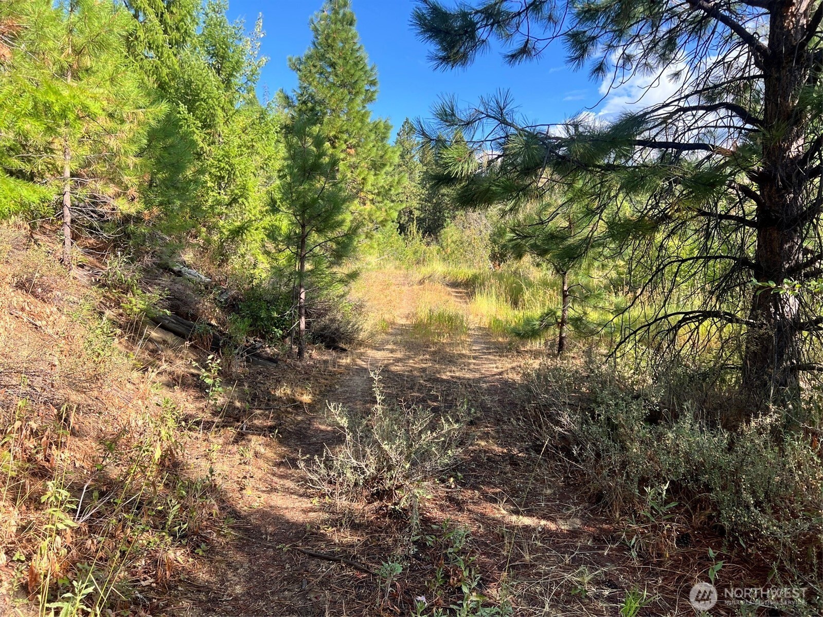 0 Juneberry Lane , Leavenworth, WA 98826