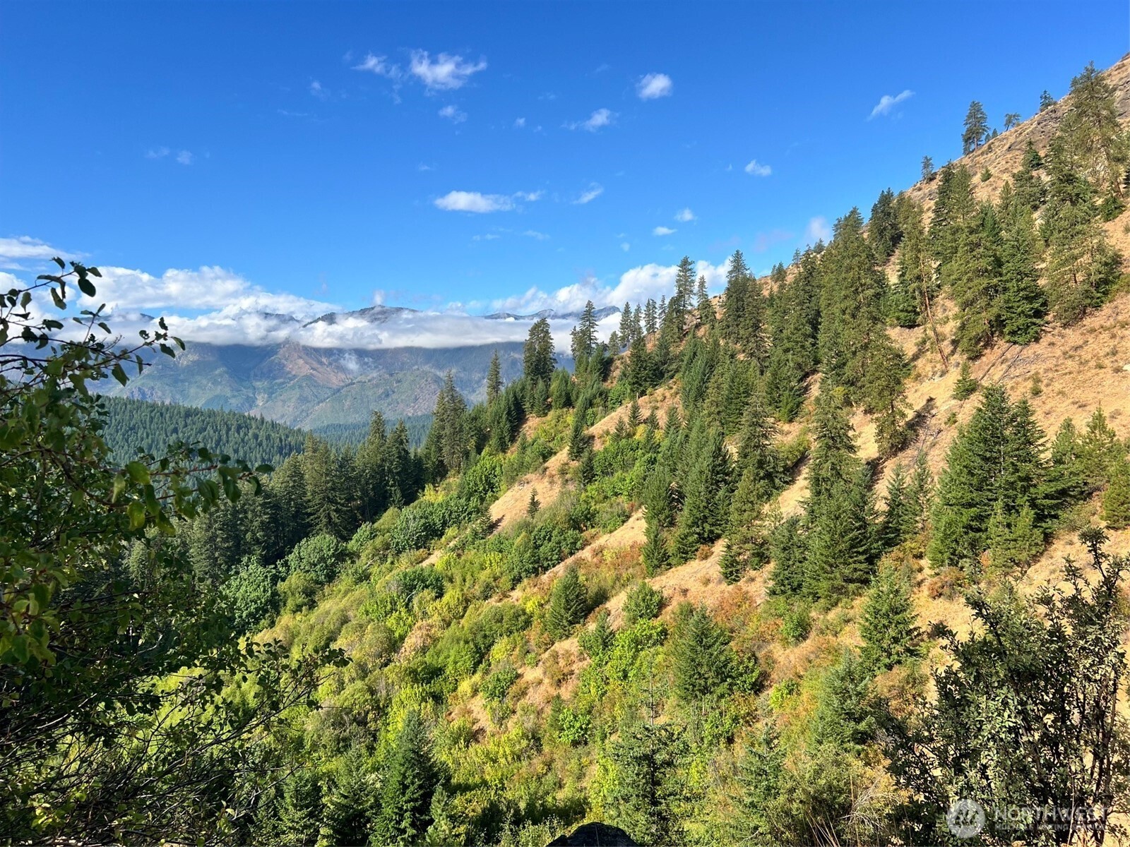0 Juneberry Lane , Leavenworth, WA 98826