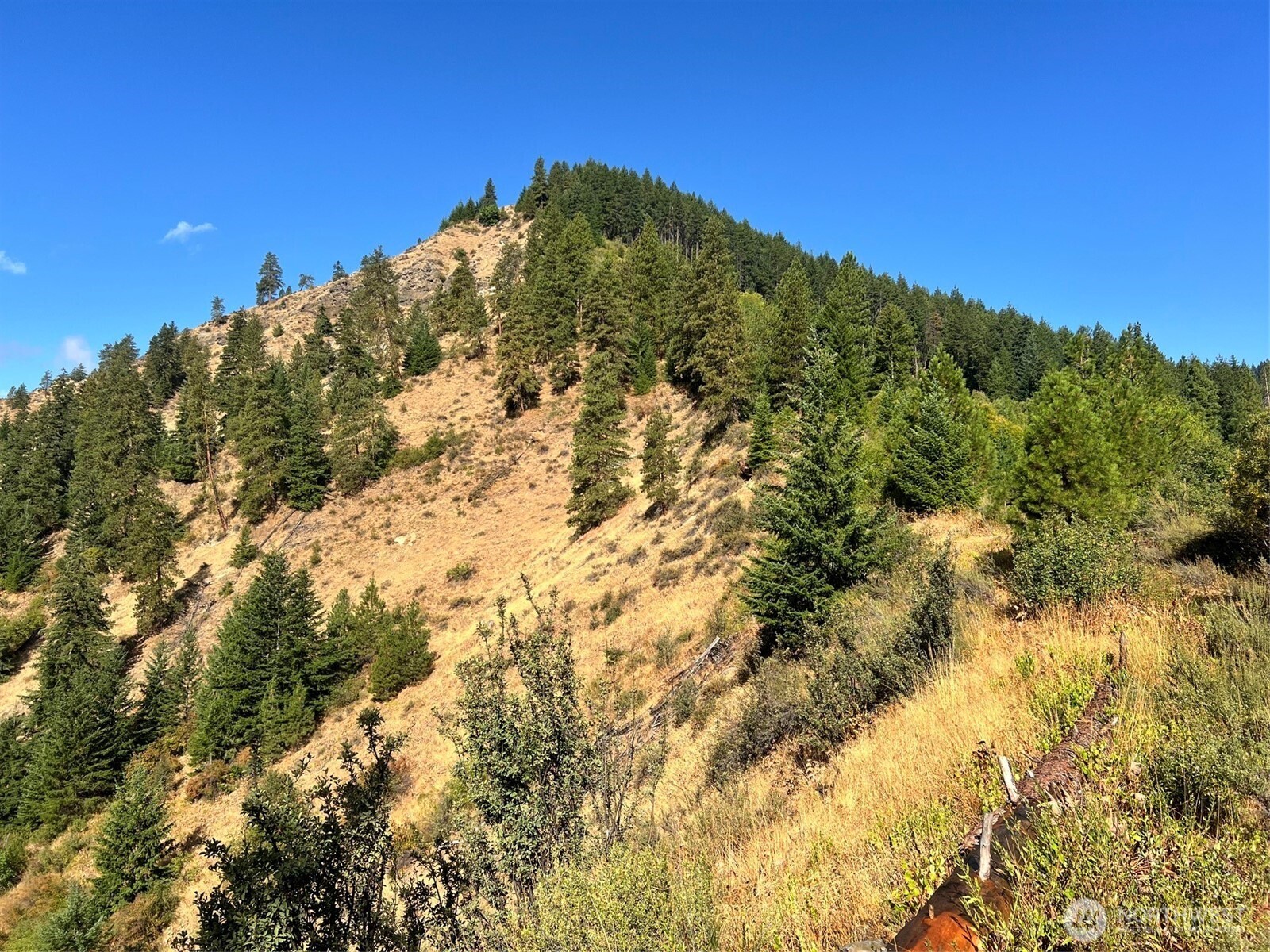 0 Juneberry Lane , Leavenworth, WA 98826