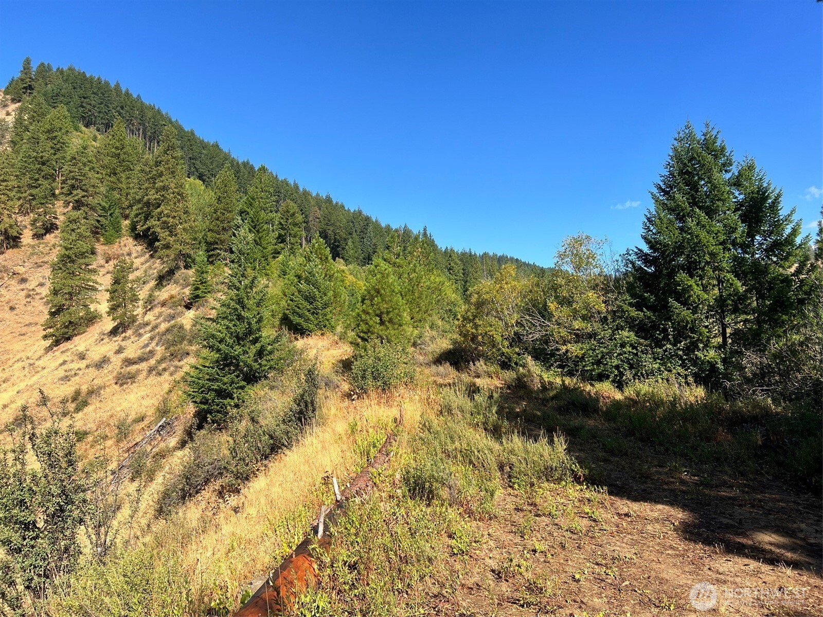 0 Juneberry Lane , Leavenworth, WA 98826