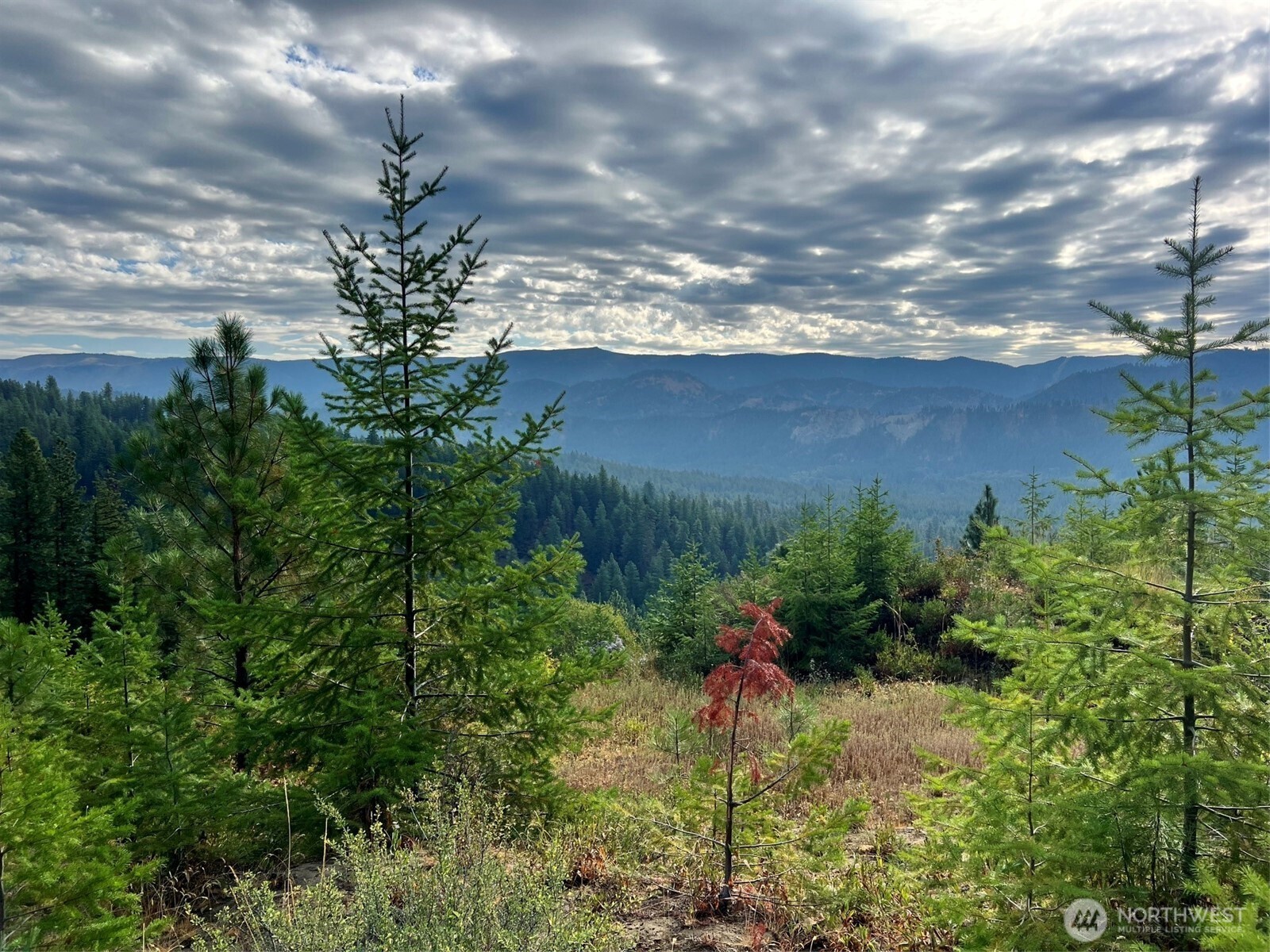 0 Juneberry Lane , Leavenworth, WA 98826