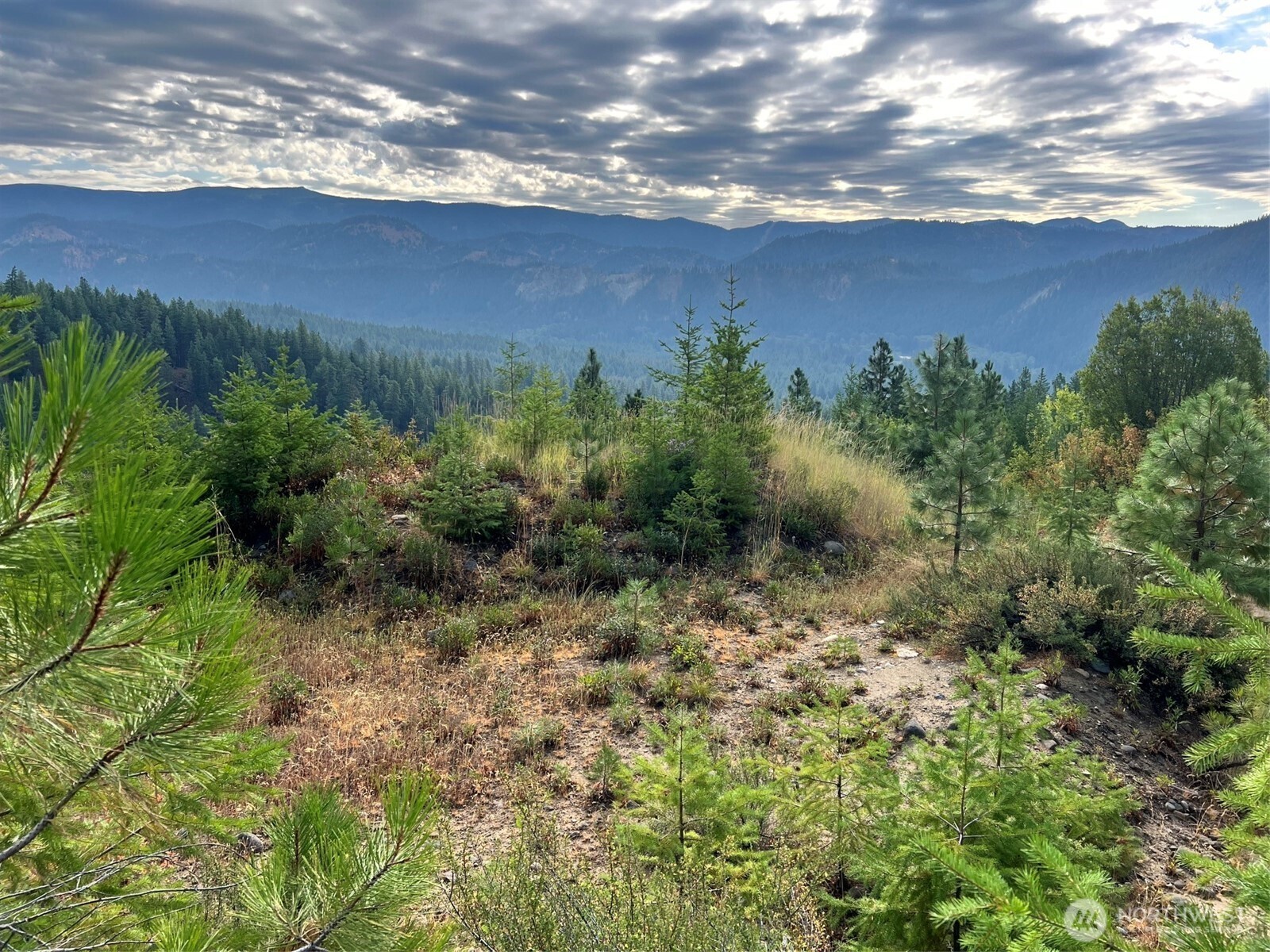 0 Juneberry Lane , Leavenworth, WA 98826