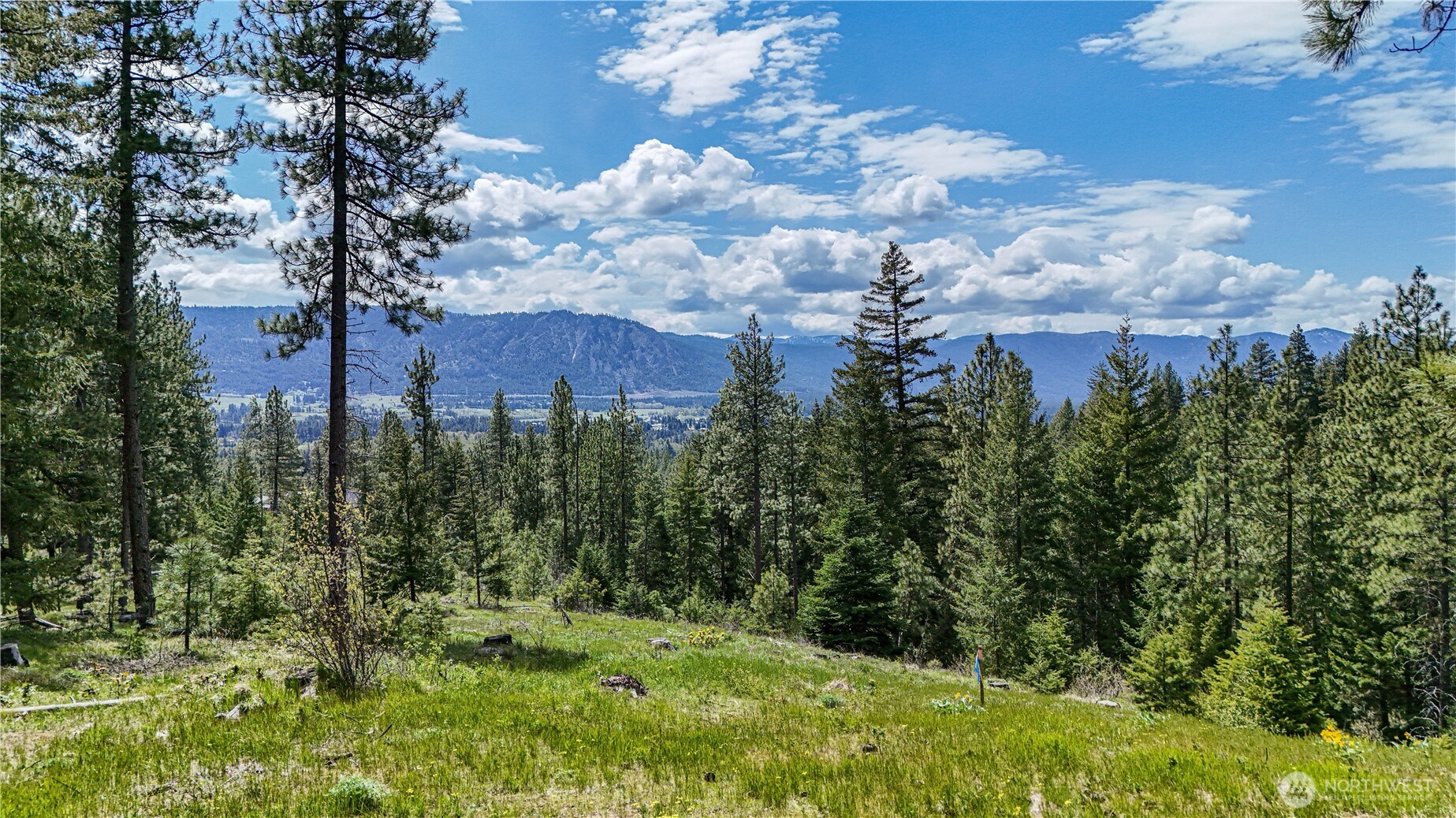 1631 Creekside Road , Cle Elum, WA 98922