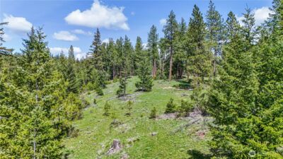 1631 Creekside Road , Cle Elum, WA 98922 - Photo 6