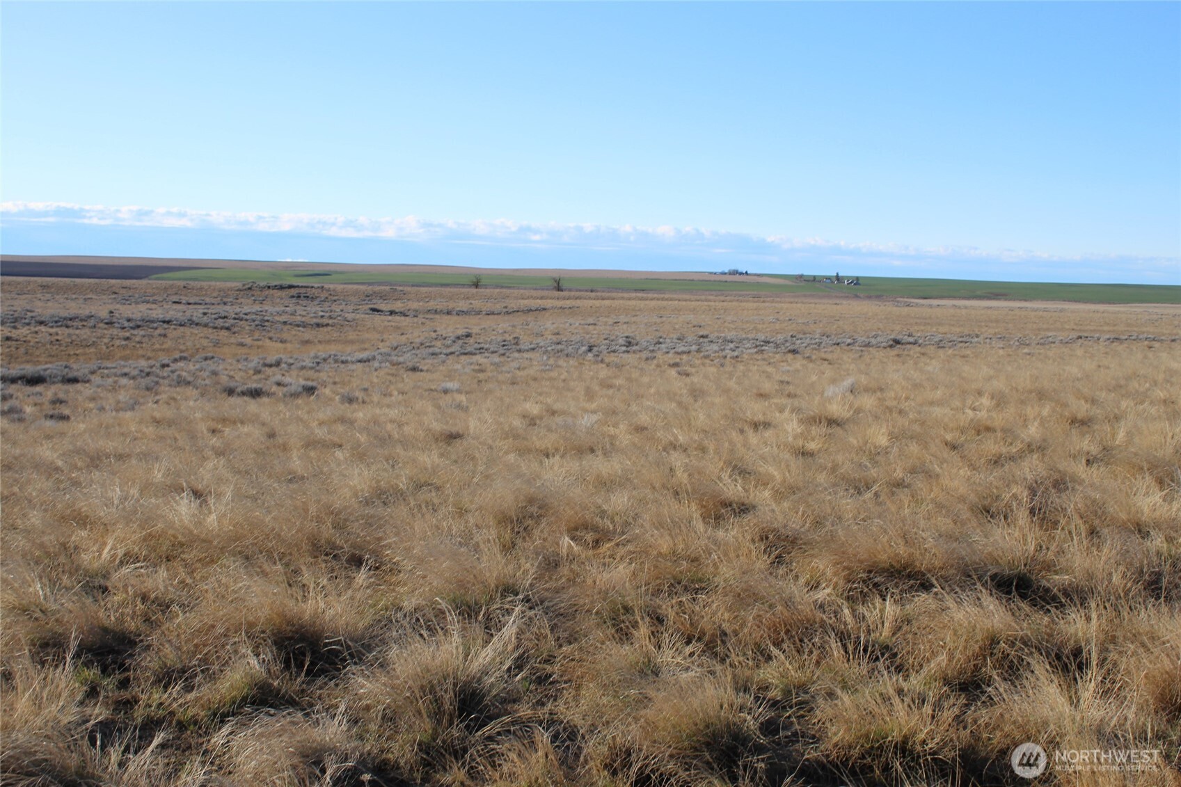 0 Schafer and Dewalt Road , Ritzville, WA 99169