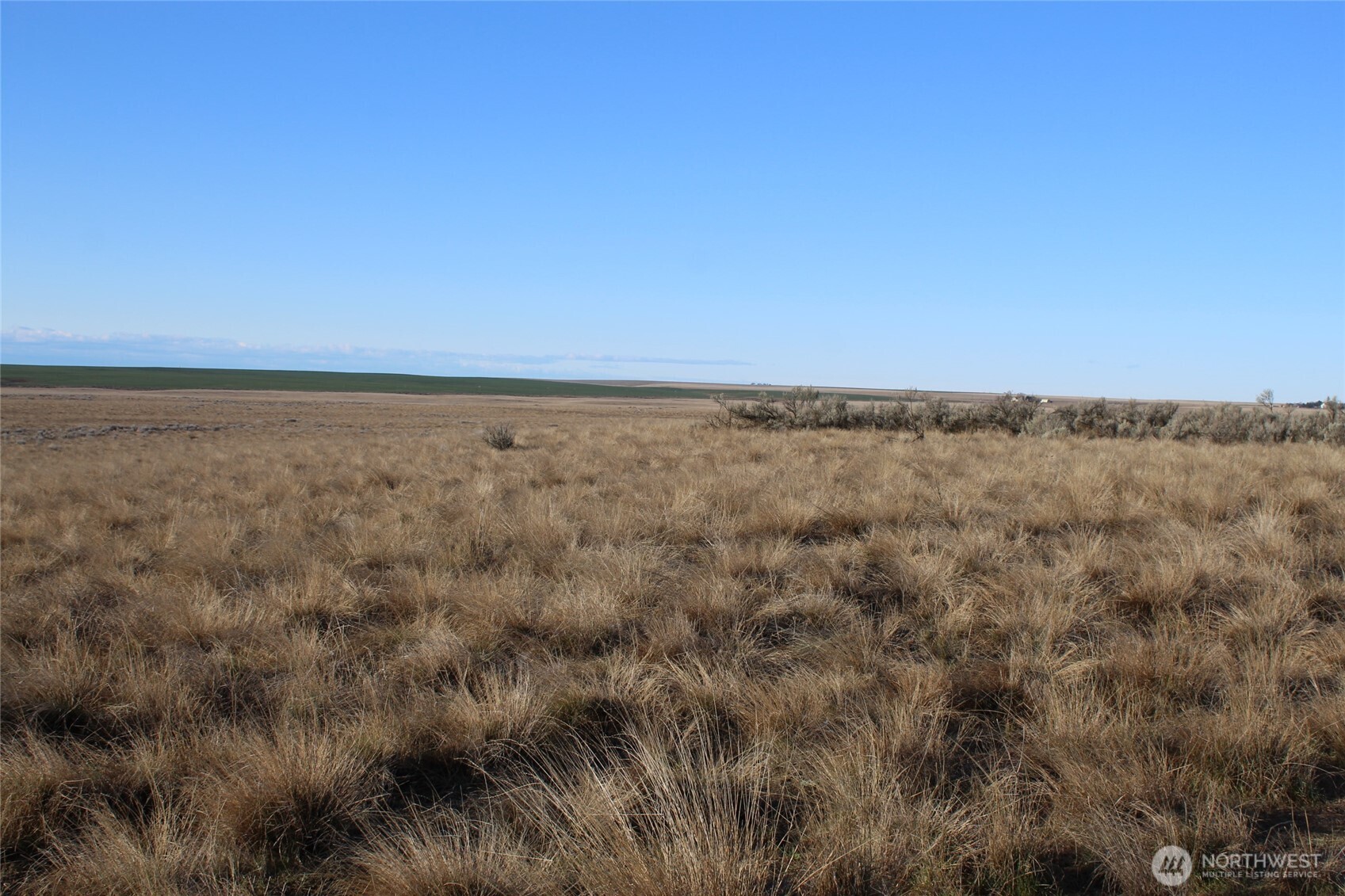 0 Schafer and Dewalt Road , Ritzville, WA 99169