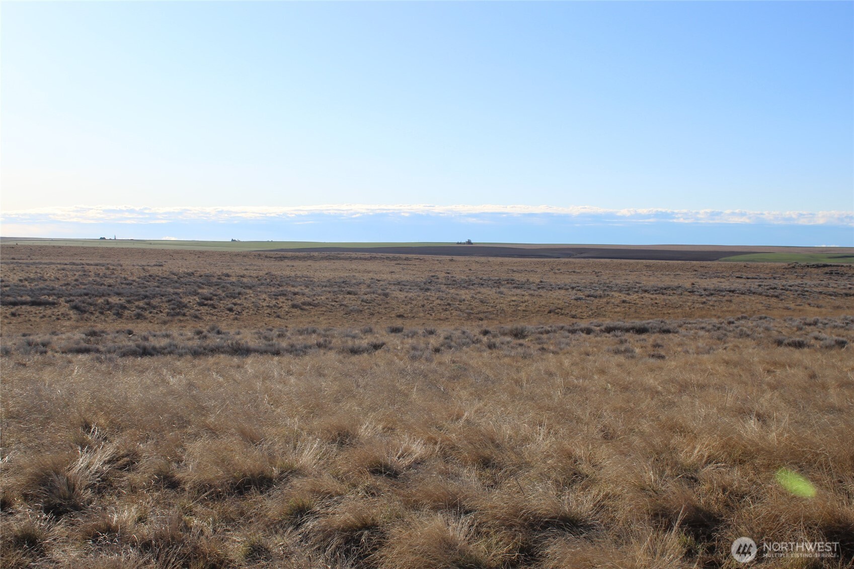 0 Schafer and Dewalt Road , Ritzville, WA 99169