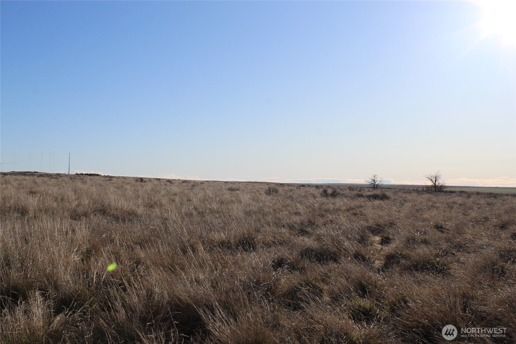 0 Schafer and Dewalt Road , Ritzville, WA 99169