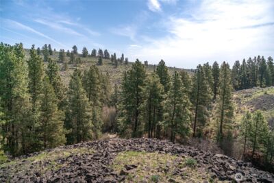 105 Wild Turkey Road , East Wenatchee, WA 98802 - Photo 12