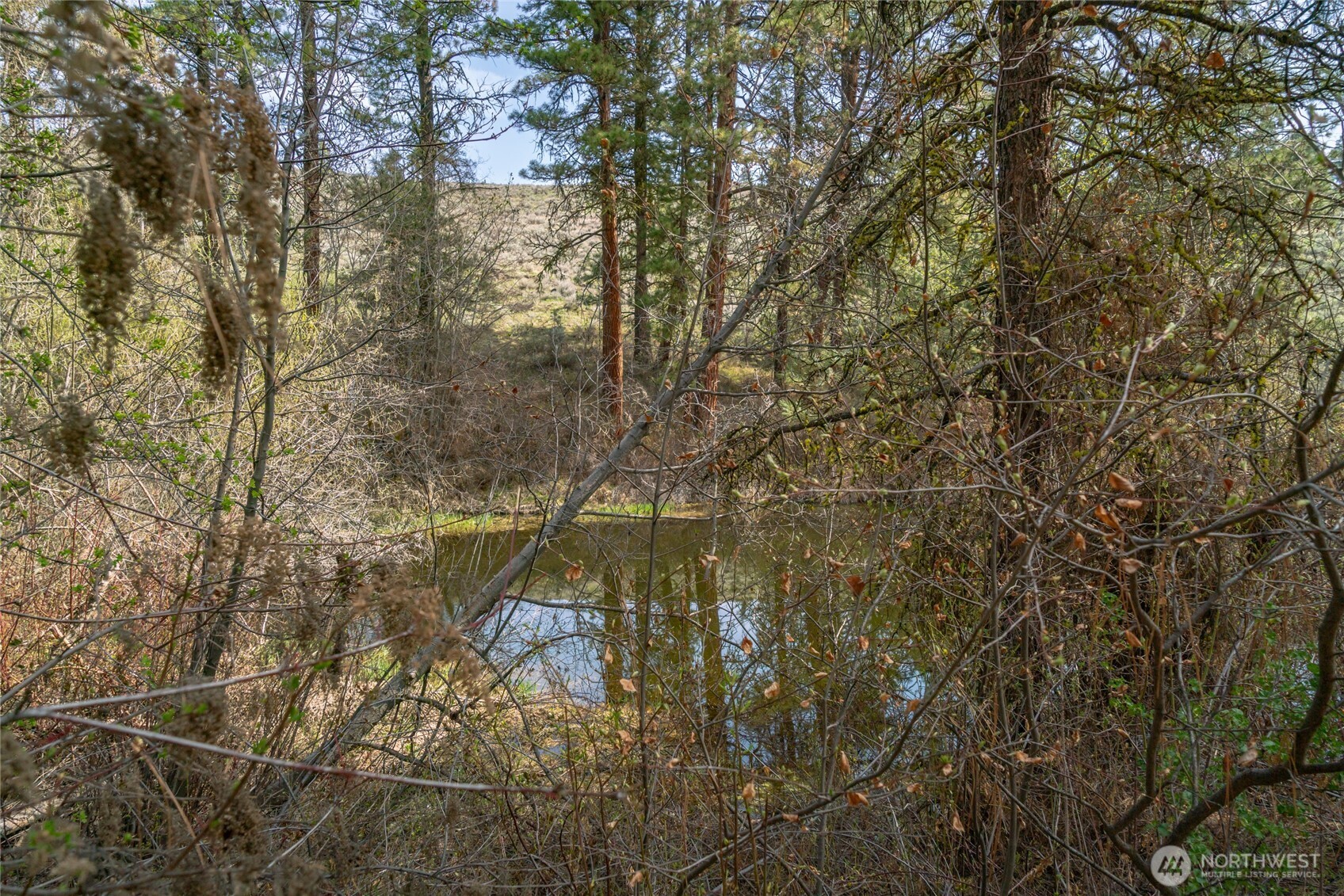 105 Wild Turkey Road , East Wenatchee, WA 98802