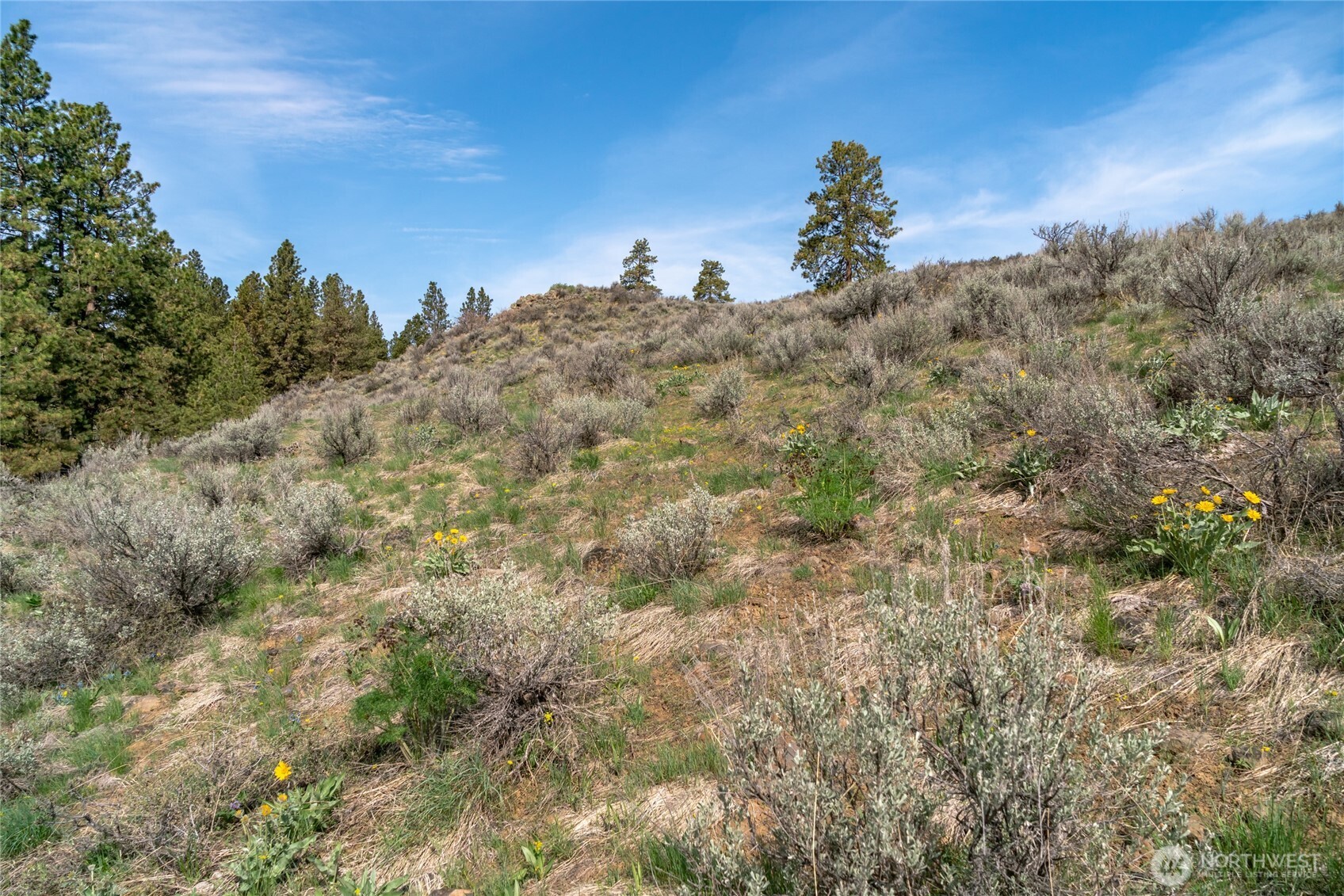 105 Wild Turkey Road , East Wenatchee, WA 98802
