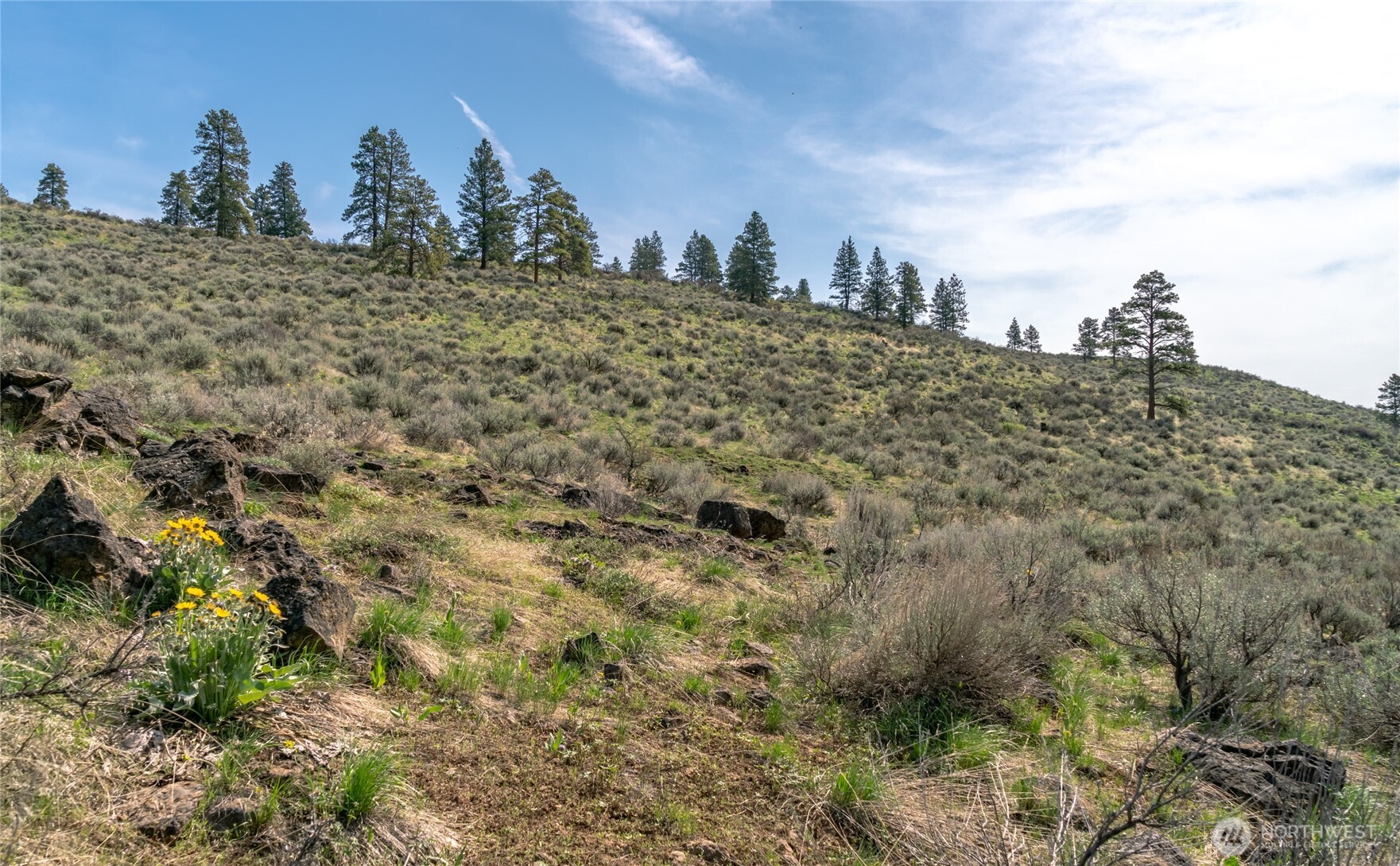 105 Wild Turkey Road , East Wenatchee, WA 98802