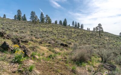 105 Wild Turkey Road , East Wenatchee, WA 98802 - Photo 17