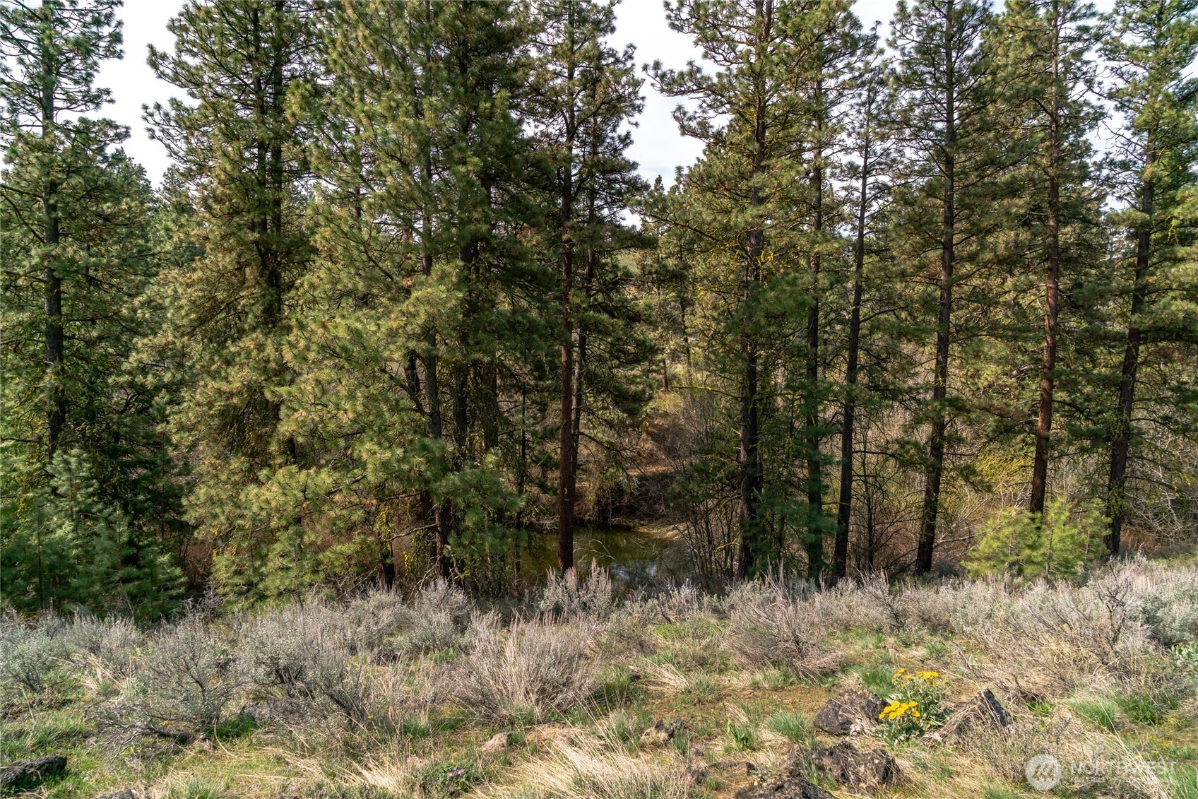 105 Wild Turkey Road , East Wenatchee, WA 98802