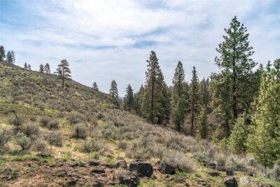 105 Wild Turkey Road , East Wenatchee, WA 98802 - Photo 19