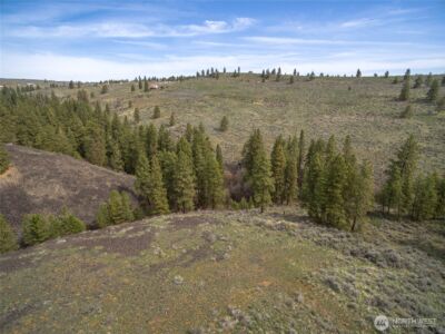 105 Wild Turkey Road , East Wenatchee, WA 98802 - Photo 8