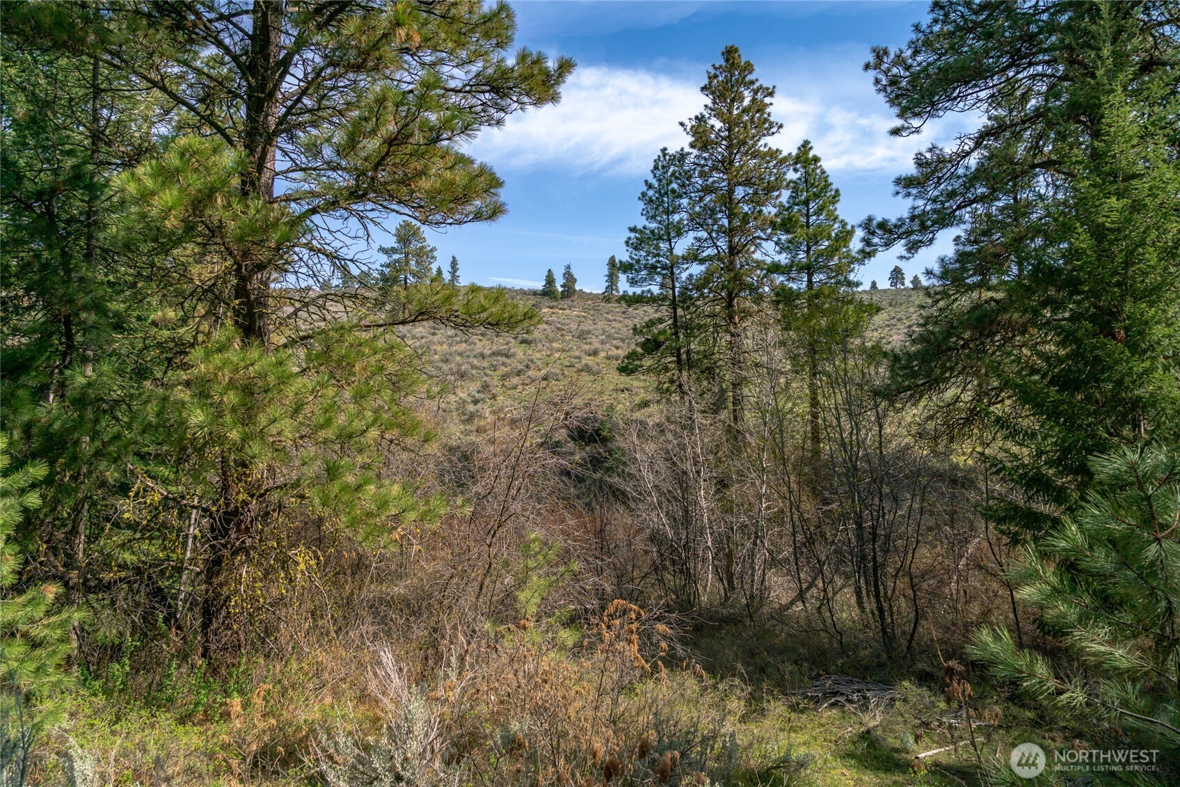 105 Wild Turkey Road , East Wenatchee, WA 98802