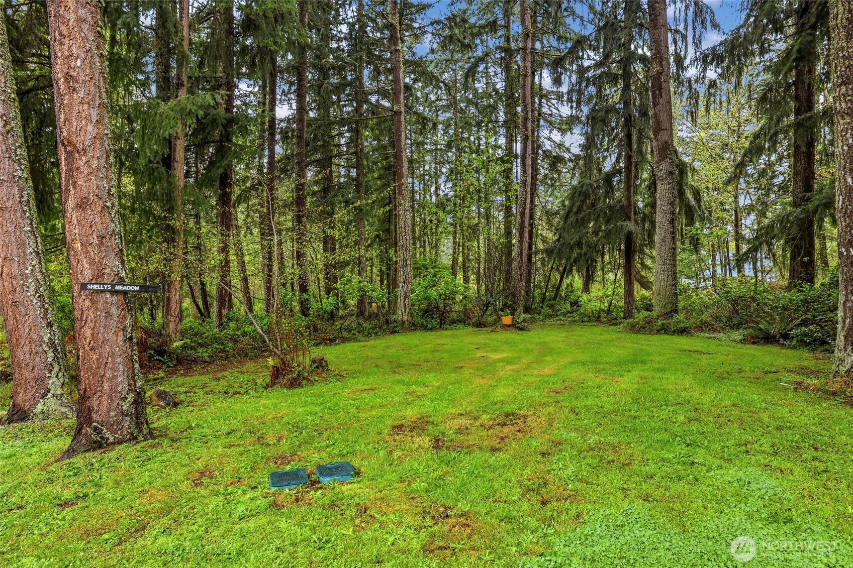 16316 245th Street E, Graham, WA 98338