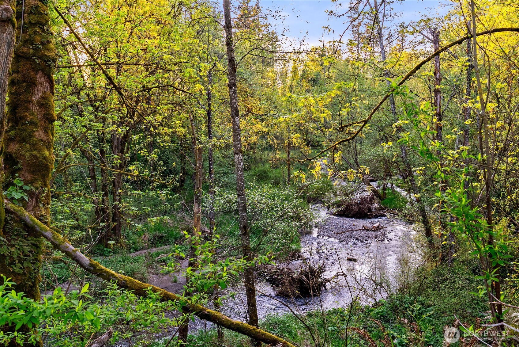 3900 228th Avenue SE, Enumclaw, WA 98022