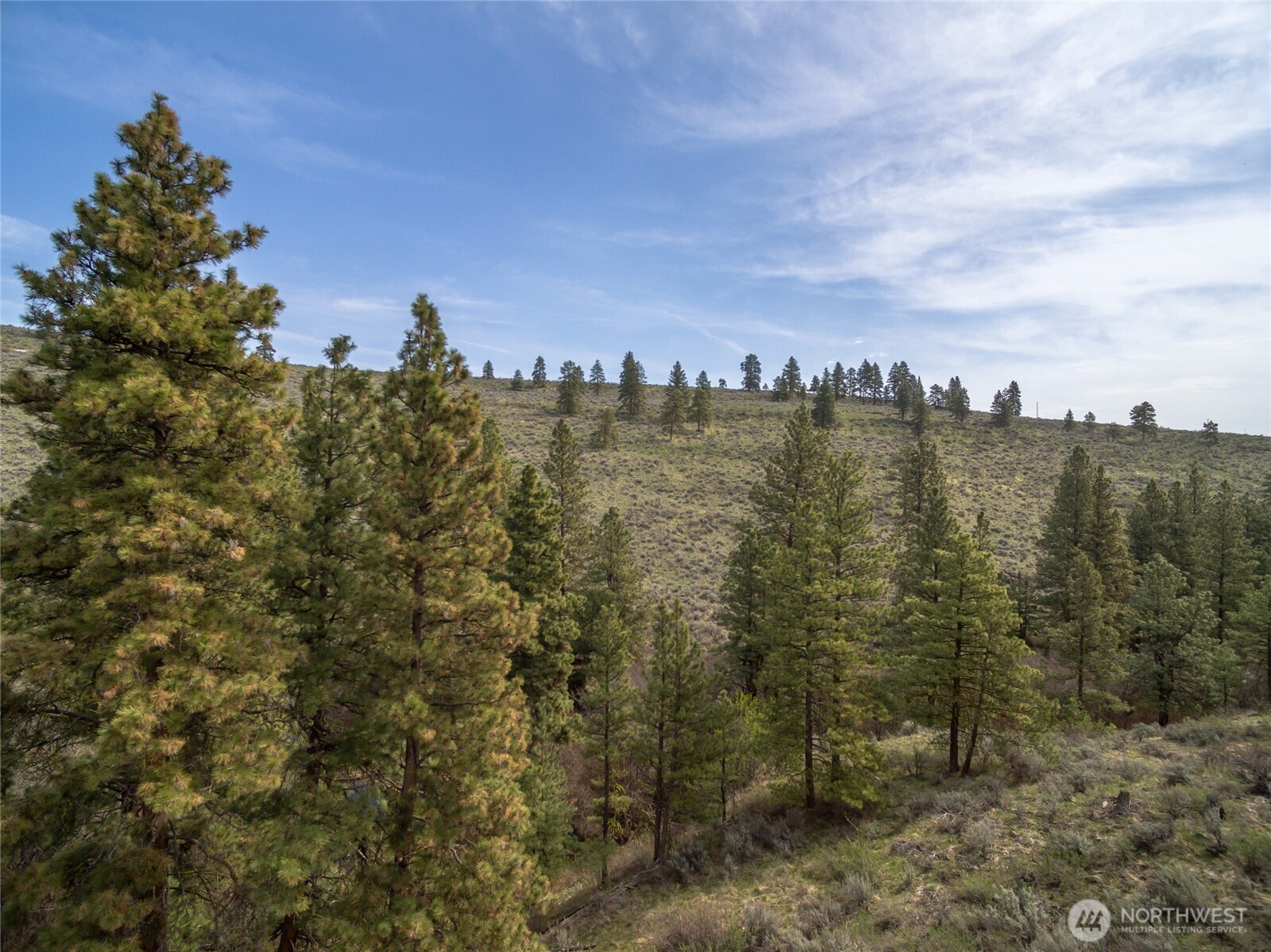 107 Wild Turkey Road , East Wenatchee, WA 98802