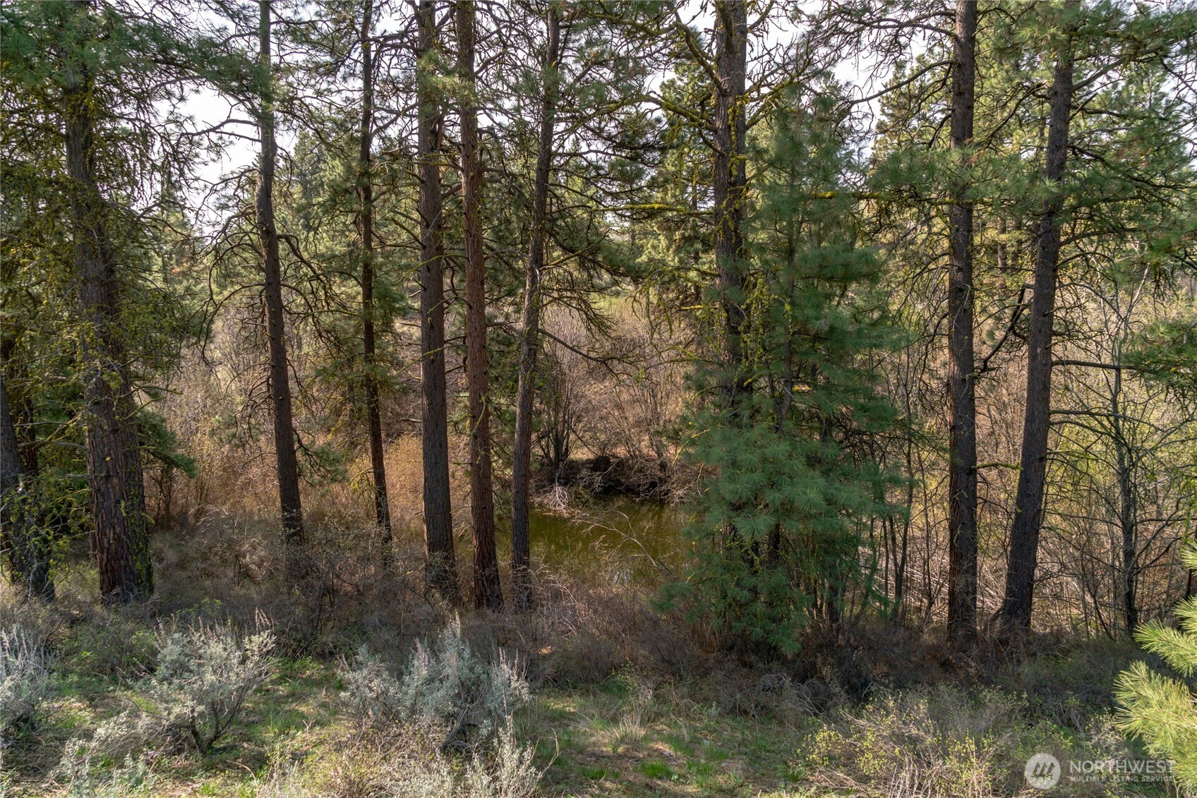 107 Wild Turkey Road , East Wenatchee, WA 98802