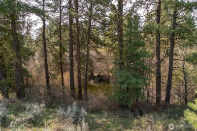 107 Wild Turkey Road , East Wenatchee, WA 98802 - Photo 15