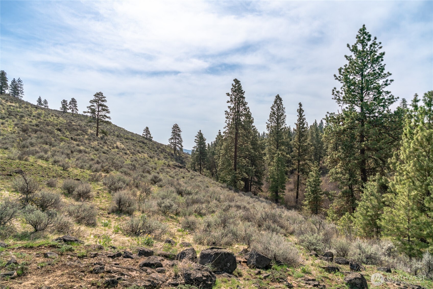 107 Wild Turkey Road , East Wenatchee, WA 98802