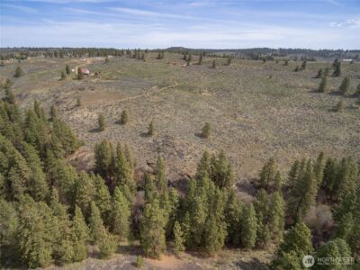 107 Wild Turkey Road , East Wenatchee, WA 98802 - Photo 2