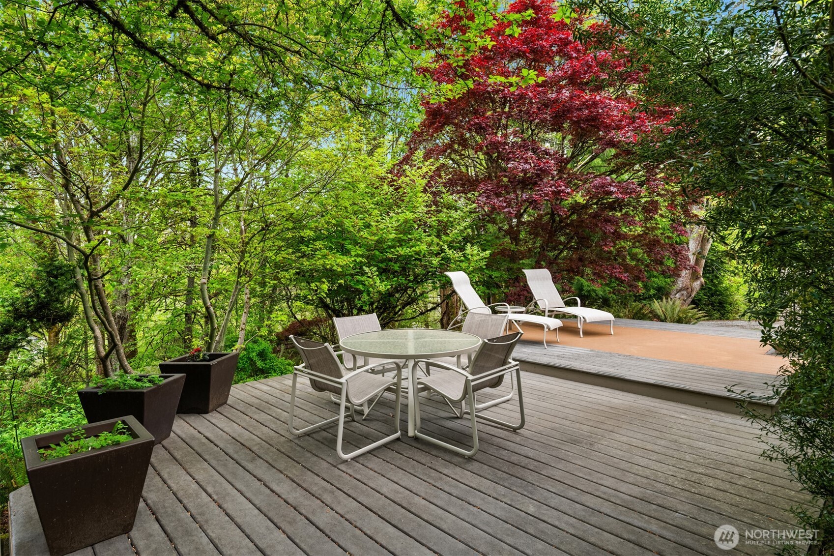 558 20th Avenue , Kirkland, WA 98033