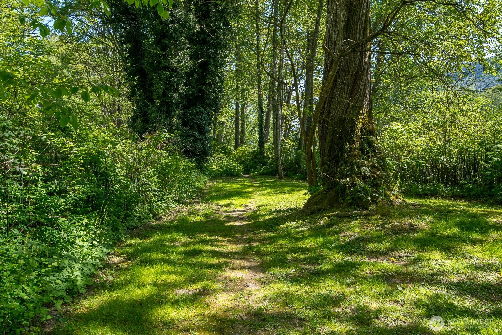 23727 Cove Road , Sedro Woolley, WA 98284