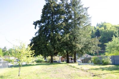 7504 S Dillard Avenue , Concrete, WA 98237 - Photo 24