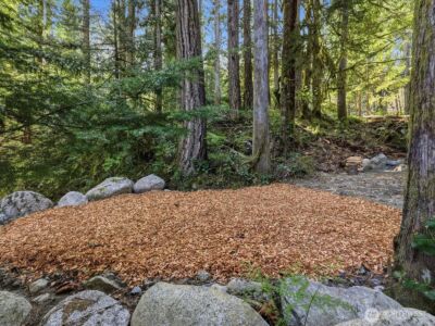 63424 W Cascade Way , Marblemount, WA 98267 - Photo 11