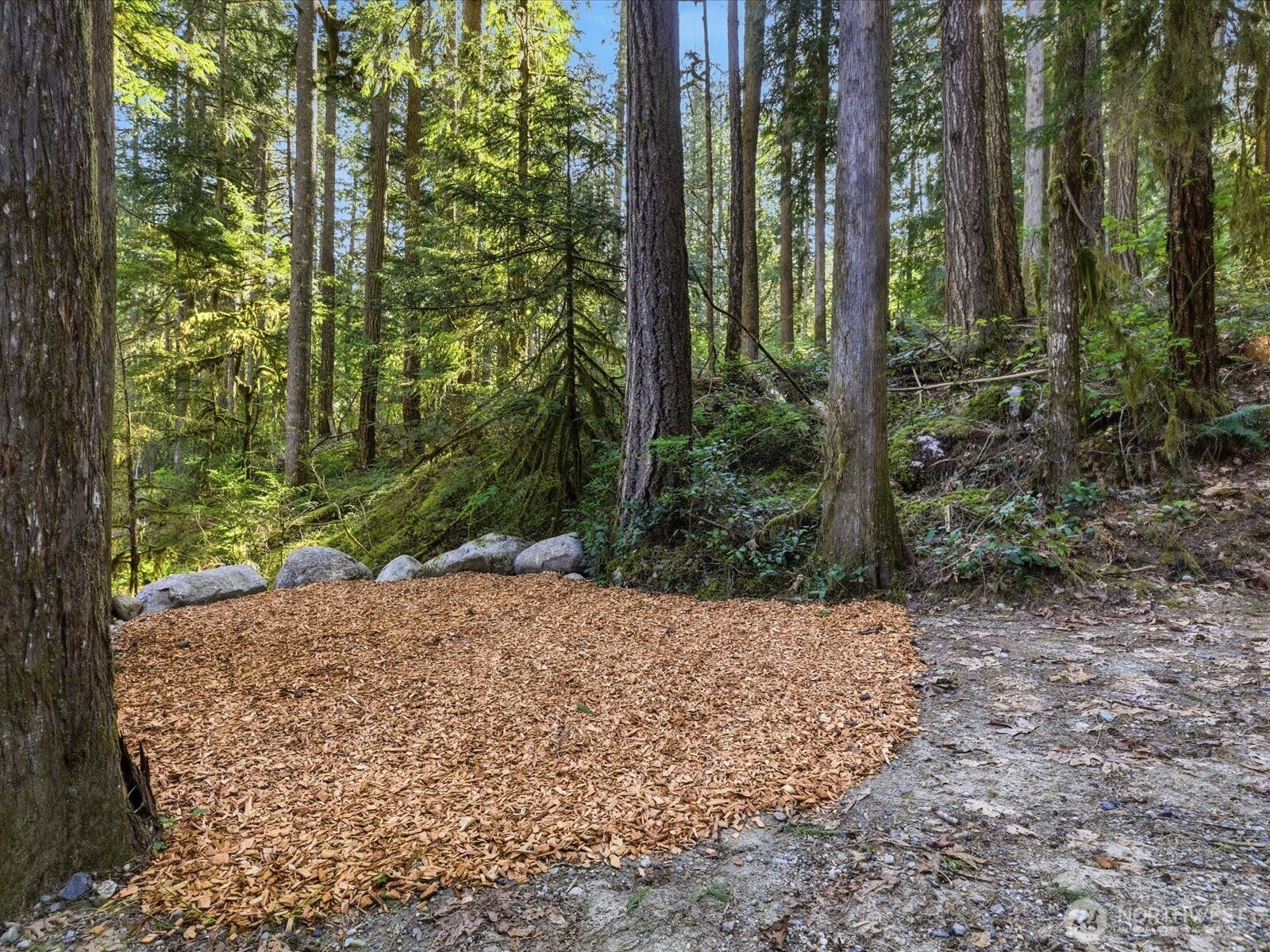 63424 W Cascade Way , Marblemount, WA 98267